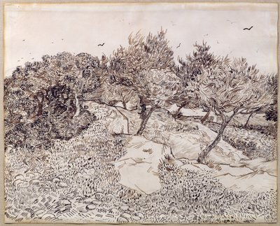 The Olive Trees by Vincent van Gogh